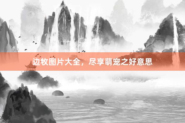 边牧图片大全，尽享萌宠之好意思